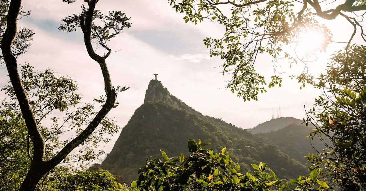 Imagem ilustrativa de Dia Mundial do Meio Ambiente: Brasil Se Prepara para Reflexão e Ação Urgente por um Futuro Sustentável