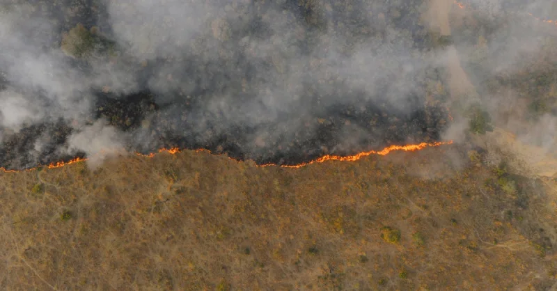Cemaden: O Escudo do Brasil Contra Desastres Naturais e a Urgência da Prevenção
