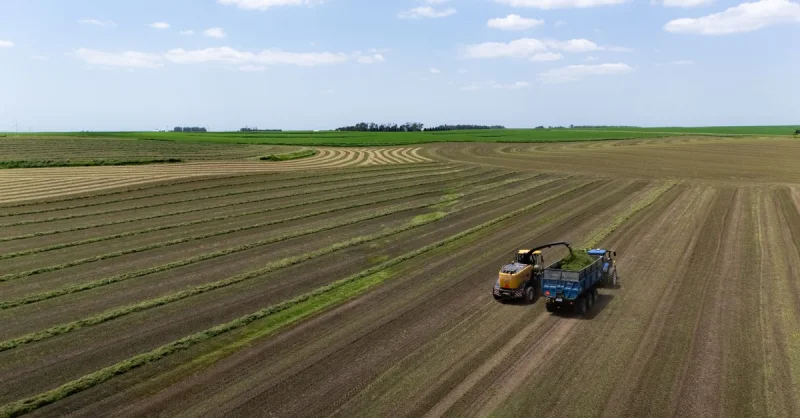 Dia do Agricultor: A Força do Campo que Alimenta o Brasil e Impulsiona a Economia Nacional