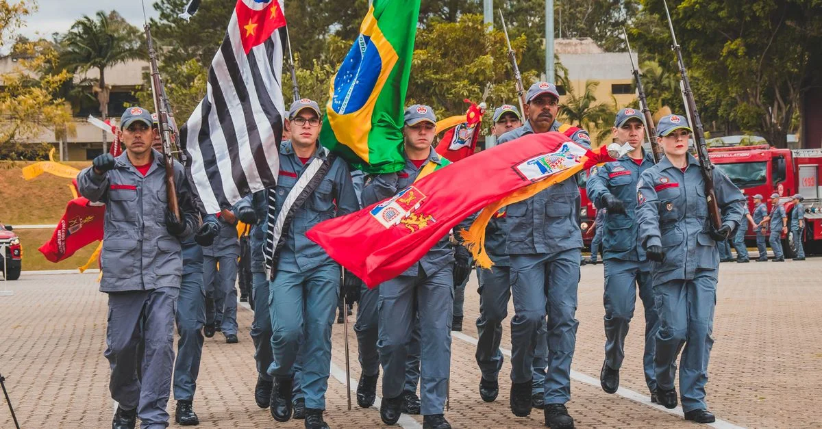 Imagem ilustrativa de Remo em Evidência no Brasil: Entenda a Onda de Interesse por Este Esporte Completo