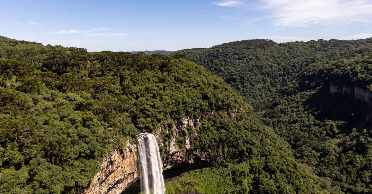 Imagem ilustrativa de Defesa Civil do Rio Grande do Sul: O Pilar da Resiliência Gaúcha em Destaque Nacional