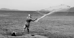 Santa Catarina em Destaque: Entenda Por Que o Estado Catarinense Vira Tendência Nacional