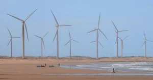 Vento no Brasil: Entenda Por Que o Fenômeno Climático Move Buscas e Redes Sociais