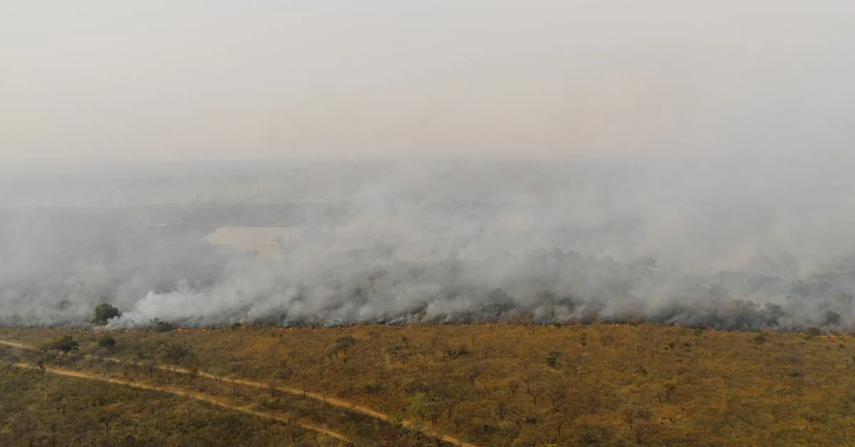 Imagem ilustrativa de Incêndio Devasta Departamento de Oceanografia da UFPE: Perdas Incalculáveis e o Desafio da Reconstrução