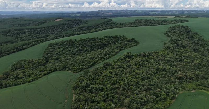 Finados 2024: Faltam 5 Dias para o Feriado de Reflexão e Memória no Brasil